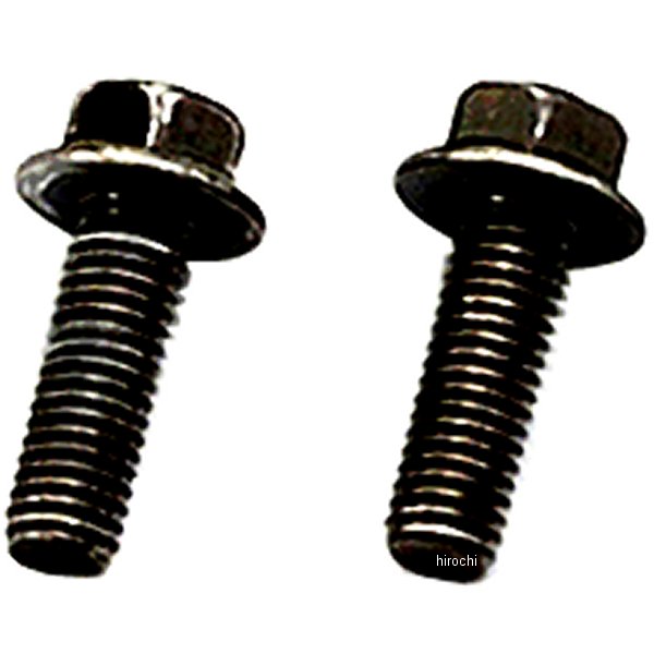 20918 デイトナ フランジボルト 2個 M8X20 黒