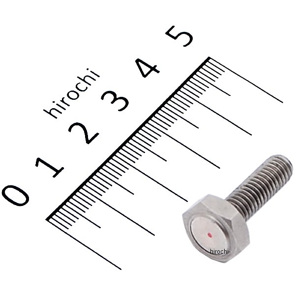 2210-0136 BF010611 コソ KOSO スピードセンサー マグネットボルト M6XP1.1X19.7mm L 1個売り