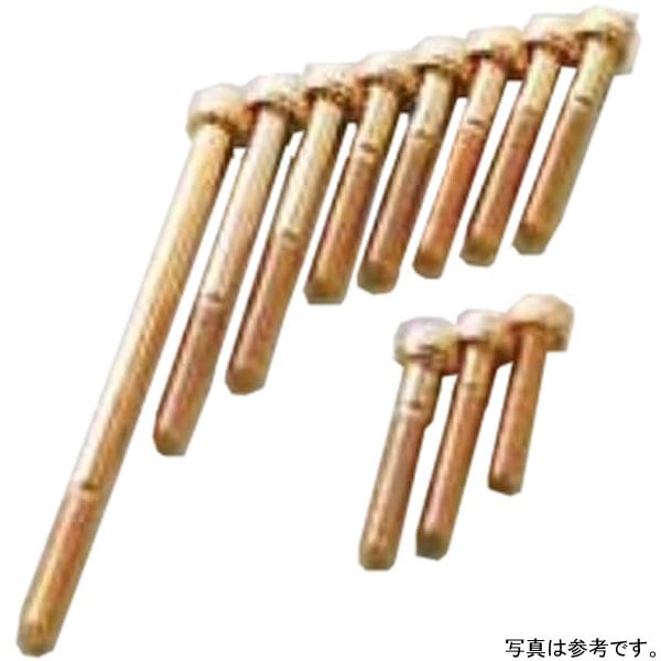 235836 ポッシュ POSH クランクケースカバーネジセット CT125、グロム125 24Kメッキステンレス