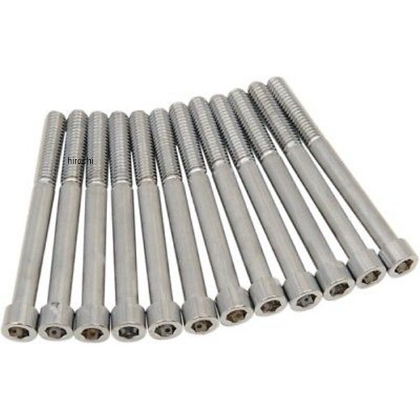 2401-0973 DRAG ボルトキット クランクケース 17年以降 FLH クローム/無地