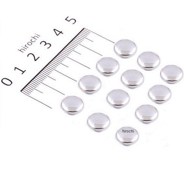 25153 デイトナ ボルトキャップ（M6/12コ）