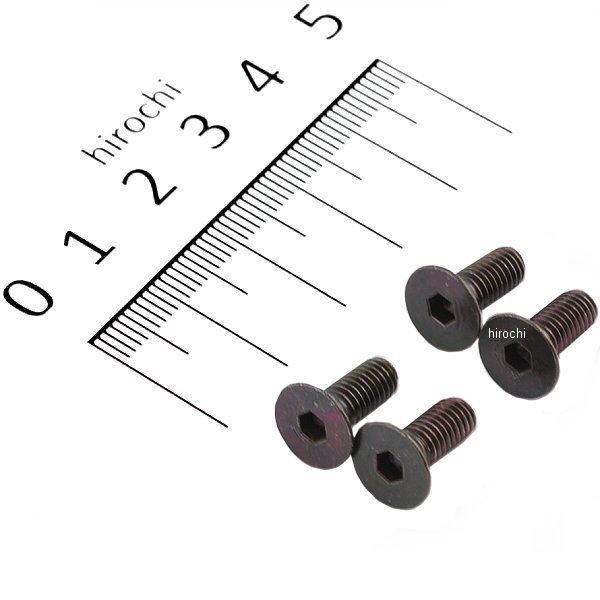 29364 デイトナ クラッチアウターカバースクリュー M5×12 4個