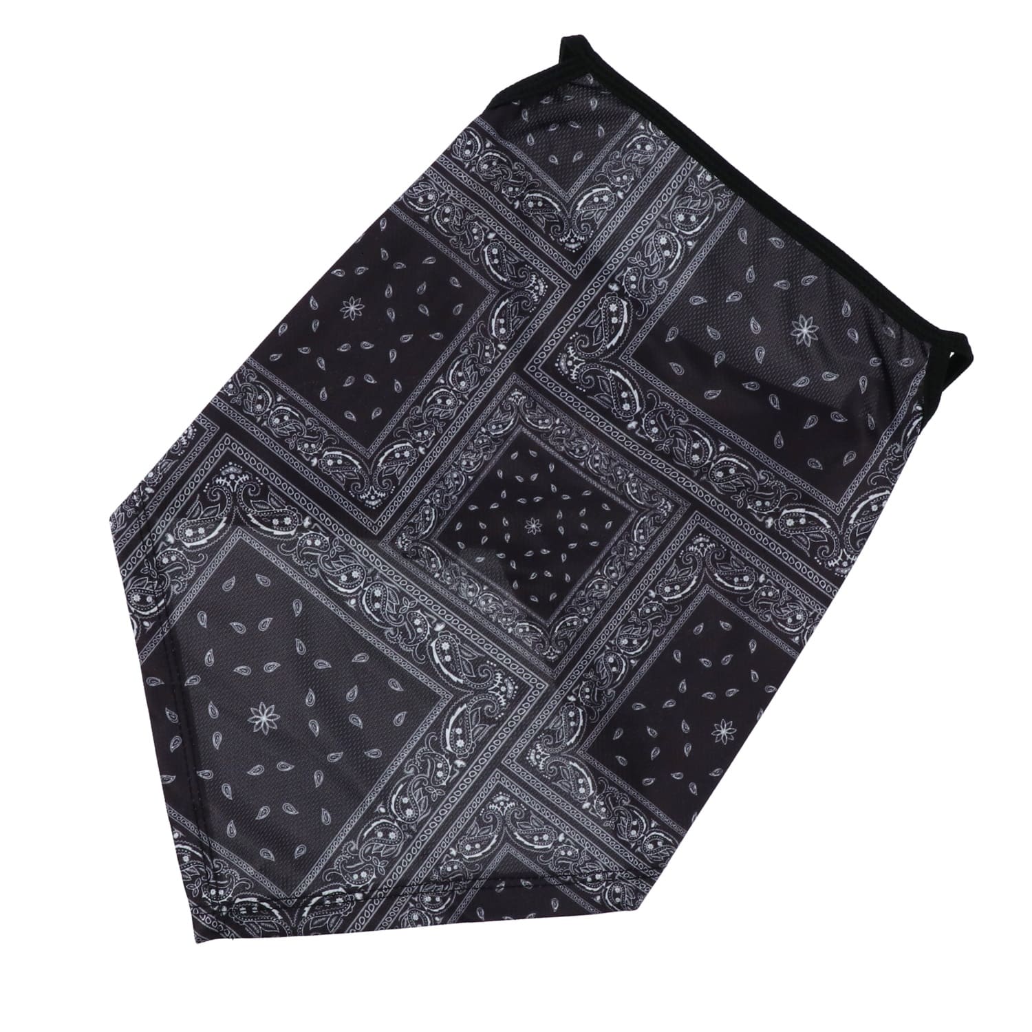 TBE1078 ライズ RIDEZ バンダナイヤーループ ペイズリー2 フリーサイズ