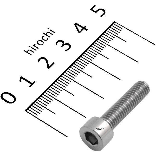 ZT07-0625 ジータ ZETA チタンキャップボルト 汎用 ストレート M6 P1.0 25mm 1本入り