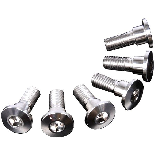 ZT31-3766 ジータ ZETA チタンブレーキディスクボルト 92年-15年 ホンダ、スズキ、カワサキ シンヘッド φ10-M8X22 6本入り