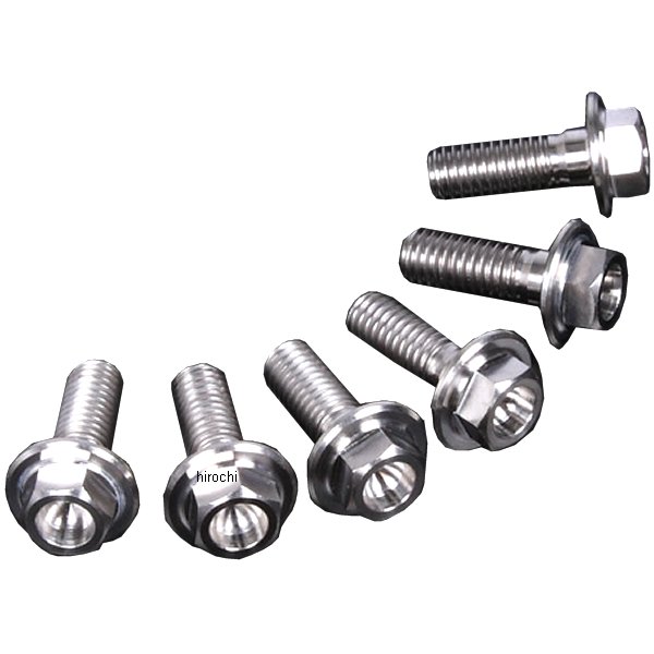 ZT31-0556 ジータ ZETA チタンブレーキディスクボルト 90年-15年 ホンダ、ヤマハ フランジボルト φ6-M6X17 6本入り