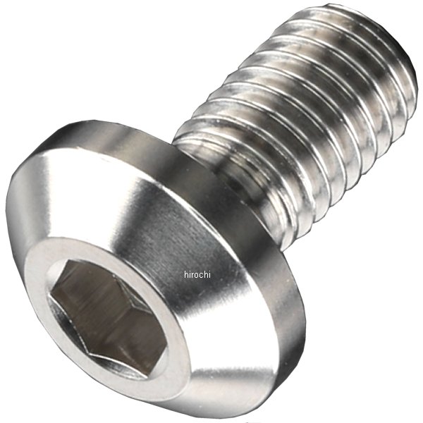 ZT10-1621 ジータ ZETA チタンブレーキディスクボルト パンヘッド φ8-M8X16 1本入り