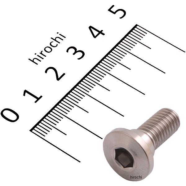 ZT10-3741 ジータ ZETA チタンブレーキディスクボルト シンヘッド φ10-M8X20 1本入り