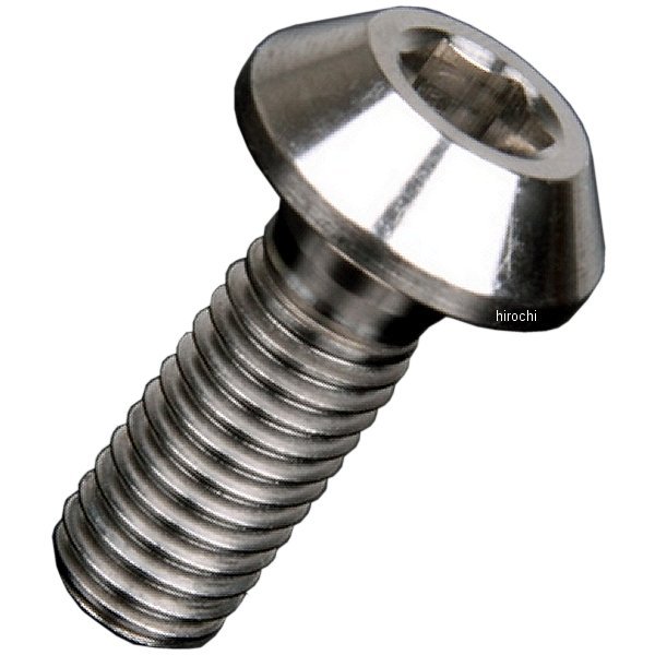 ZT31-1656 ジータ ZETA チタンブレーキディスクボルト 96年-15年 XJR1300、XJR1200、TDM900 パンヘッド φ8-M8X22 6本入り