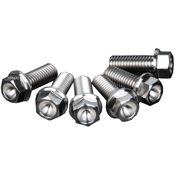 ZT31-3826 ジータ ZETA チタンブレーキディスクボルト ドゥカティ フランジボルト φ8-M8X20 6本入り