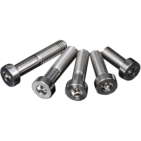 ZT07-2820 ジータ ZETA チタンキャップボルト 汎用 ローヘッド M8 P1.25 20mm 1本入り