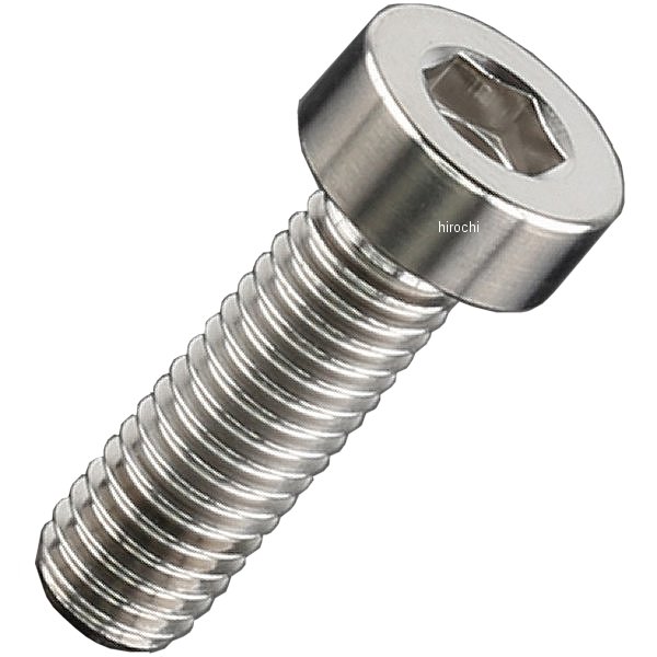 ZT07-2516 ジータ ZETA チタンキャップボルト 汎用 ローヘッド M5 P0.8 16mm 1本入り