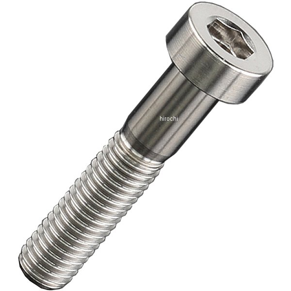 ZT07-2525 ジータ ZETA チタンキャップボルト 汎用 ローヘッド M5 P0.8 25mm 1本入り