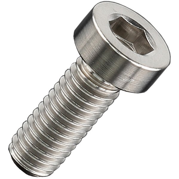 ZT07-2616 ジータ ZETA チタンキャップボルト 汎用 ローヘッド M6 P1.0 16mm 1本入り