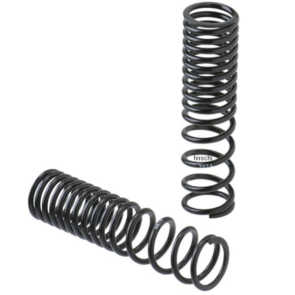 ZE56-9431 ジータ ZETA Rショックスプリング ローダウン CT125