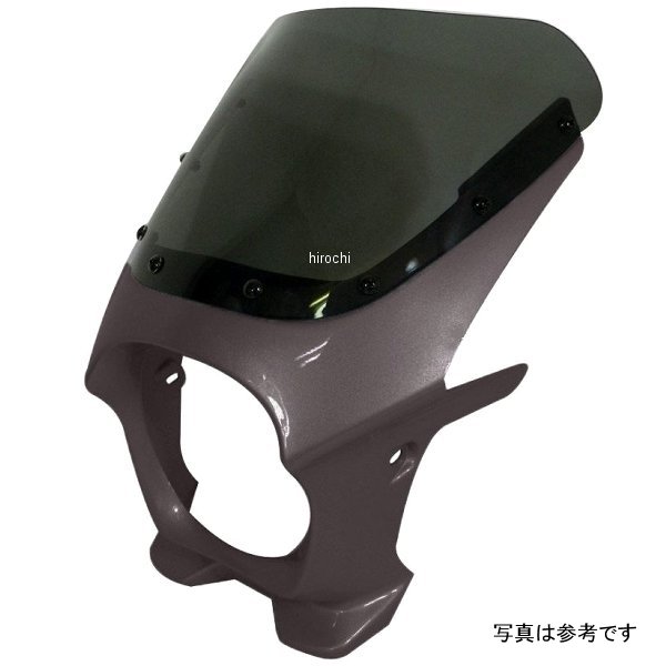 ds-01aero-24 ワールドウォーク 汎用ビキニカウル AERO ギャラクシーシルバーメタリック/クリア