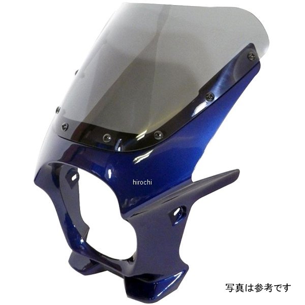 ds-01r-21 ワールドウォーク 汎用ビキニカウルR パールダークスペースブルー/クリア