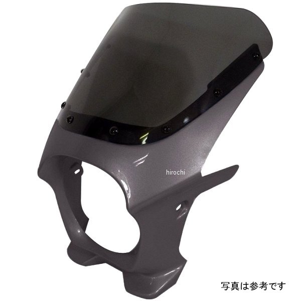 ds-01r-32 ワールドウォーク 汎用ビキニカウルR チタニウムメタリック/クリア