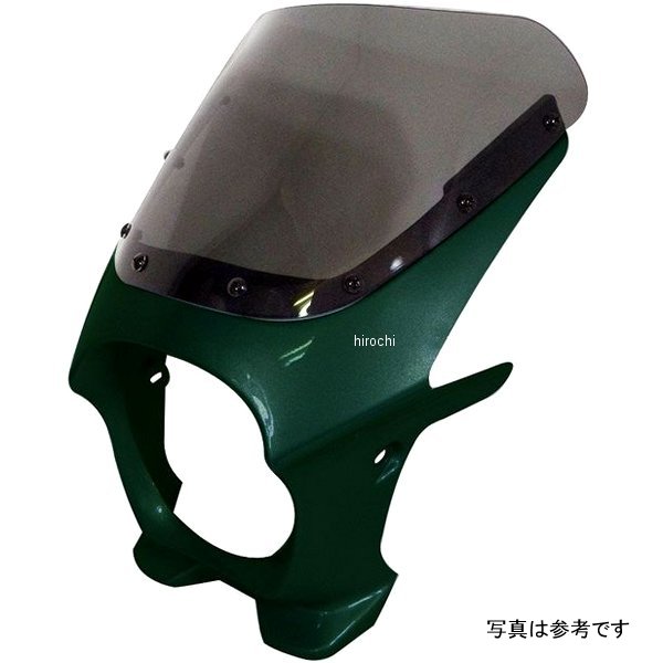 ds-01r-s3 ワールドウォーク 汎用ビキニカウルR ミストグリーンメタリック/クリア