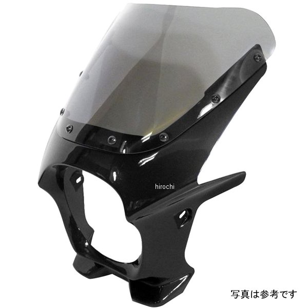 ds-01r-h6 ワールドウォーク 汎用ビキニカウルR パールコスミックブラック/クリア