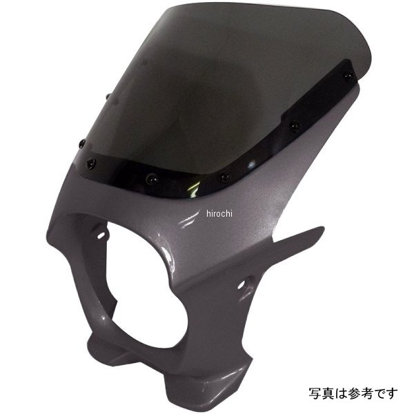 ds-01aero-32 ワールドウォーク 汎用ビキニカウル AERO チタニウムメタリック/スモーク