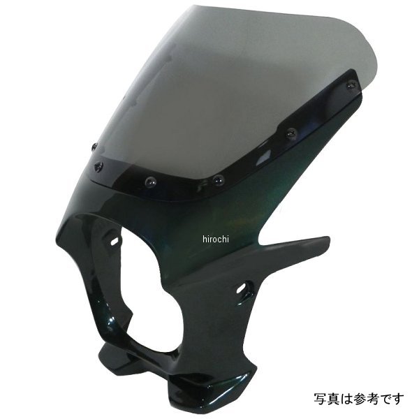 ds-01aero-6 ワールドウォーク 汎用ビキニカウル AERO ルミナスウィンザーグリーン/スモーク