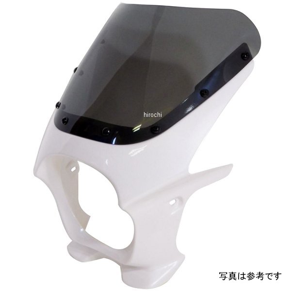 ds-01r-15 ワールドウォーク 汎用ビキニカウルR ブルーイッシュホワイトカクテル/スモーク