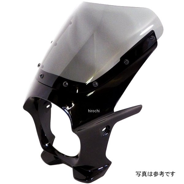 ds-01r-23 ワールドウォーク 汎用ビキニカウルR ソリッドブラック/スモーク