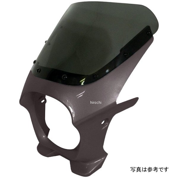 ds-01r-24 ワールドウォーク 汎用ビキニカウルR ギャラクシーシルバーメタリック/スモーク