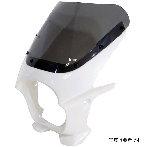 ds-01r-25 ワールドウォーク 汎用ビキニカウルR グラススプラッシュホワイト/スモーク