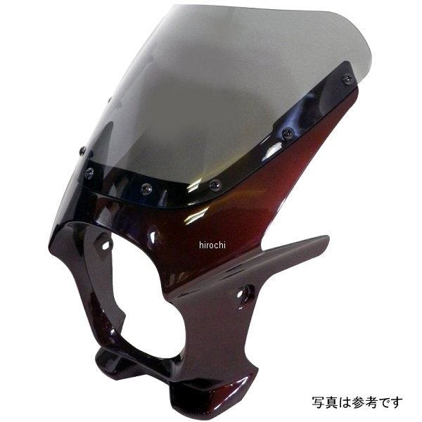 ds-01r-4 ワールドウォーク 汎用ビキニカウルR メタリックチェスナットブラウン/スモーク