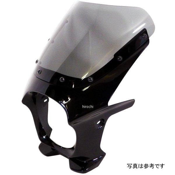 ds-01r-41 ワールドウォーク 汎用ビキニカウルR ブラック/スモーク