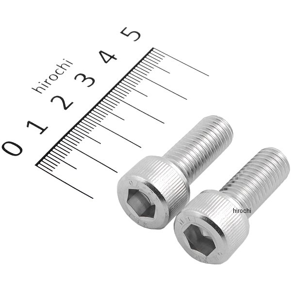 48009 デイトナ キャリパーマウントボルトM10×25P1.5