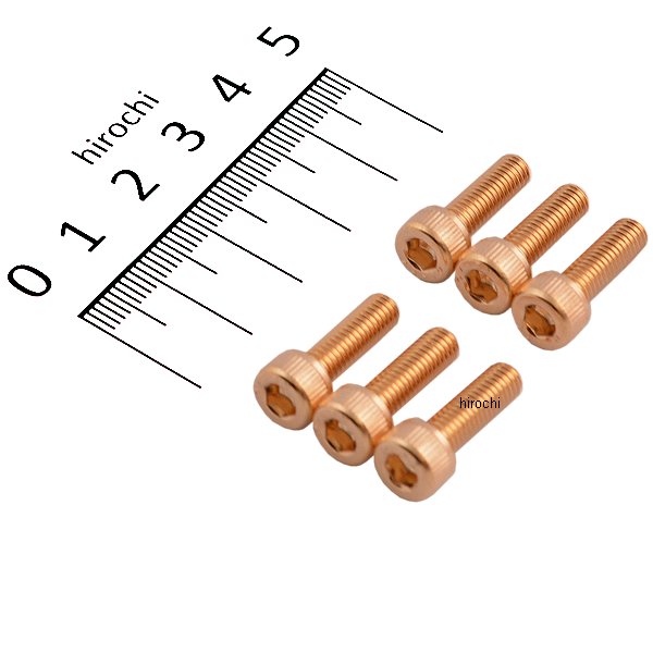 485805 ポッシュ POSH 24Kメッキ ステンレス タンクキャップカバーボルトセット M5x16mm