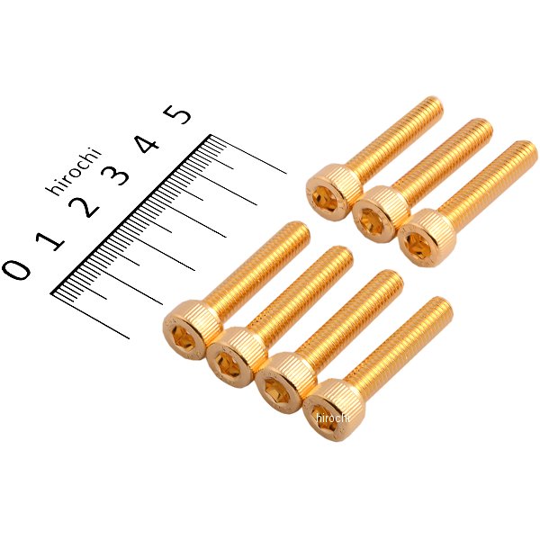 487801 ポッシュ POSH 24Kメッキ ステンレスパルサーカバーネジセット 83年-01年GPZ900R M6x30 7個入り