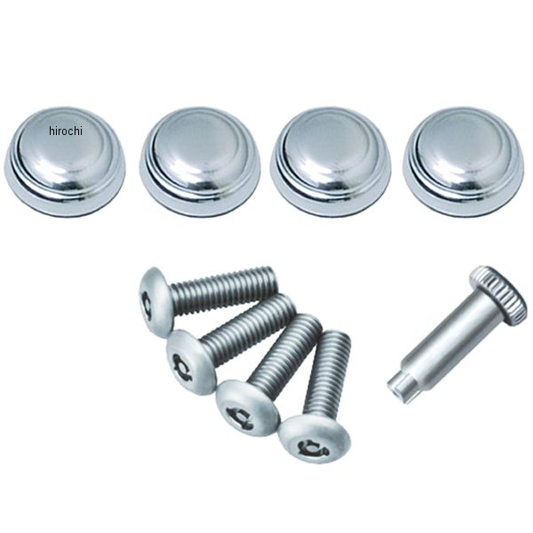 LS412 カーメイト LUXIS セキュリティボルト&キャップ ベーシック2