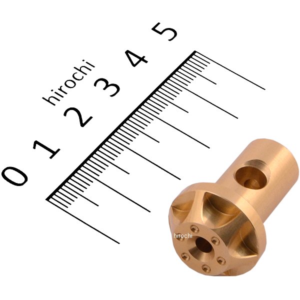 500046-12 ポッシュ POSH アジャスターピン ドラムブレーキ用 シャンパンゴールド