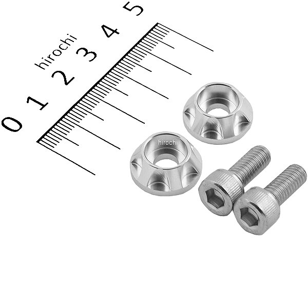 500095-03 ポッシュ POSH ナンバープレートホルダーセット NASAタイプ 2個入り シルバー