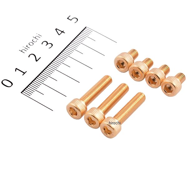 640805 ポッシュ POSH 24Kメッキ ステンレス タンクキャップカバーボルトセット M5x8mm