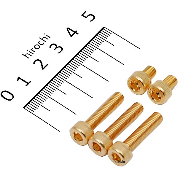 671805 ポッシュ POSH 24Kメッキ タンクキャップカバーボルトセット ヤマハ ステンレス