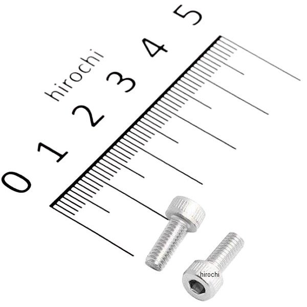 710410-S2 ポッシュ POSH キャブレターフロート チャンバー用ステンレスボルト M4 x 10mm 2本入り