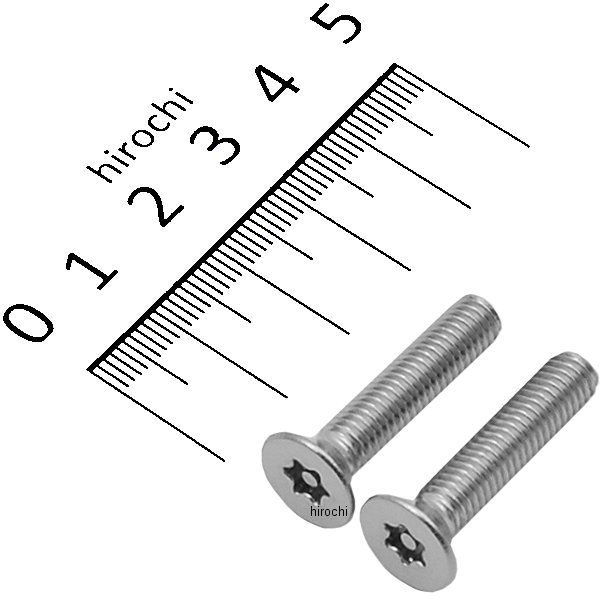 810630 ポッシュ POSH SUS M6トルクス(T30)センタードットテーパーボルト M6X30 2個入り