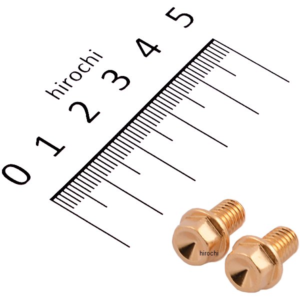 810750-010 ポッシュ POSH スモールフランジ六角ボルト 24Kメッキ M6x10 P1.0 2本入り