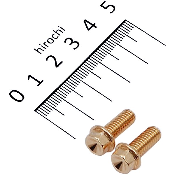 810750-015 ポッシュ POSH スモールフランジ六角ボルト 24Kメッキ M6x15 P1.0 2本入り