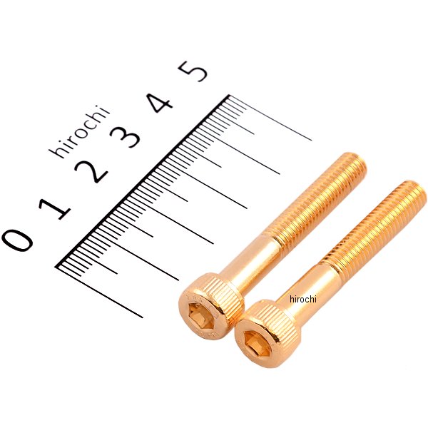 811640-040 ポッシュ POSH ステンレスキャップボルト 24Kメッキ M6x40 2個入り