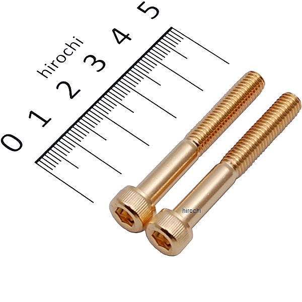 811640-045 ポッシュ POSH ステンレスキャップボルト 24Kメッキ M6x45 2個入り