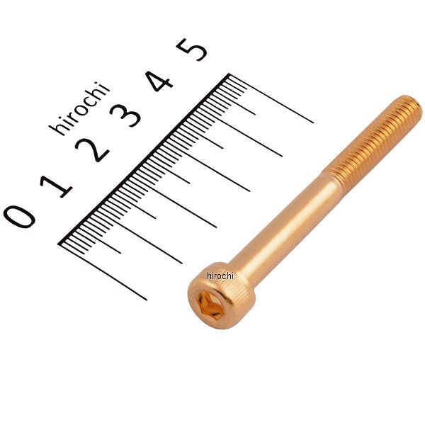 811640-055 ポッシュ POSH ステンレスキャップボルト 24Kメッキ M6x55 1個入り