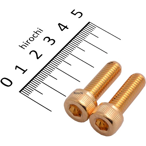 811650-025 ポッシュ POSH ステンレスキャップボルト 24Kメッキ M8X25 2本入り