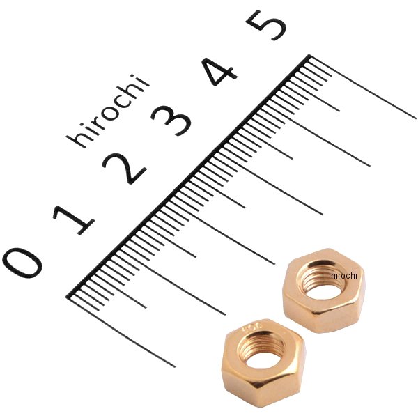 811670-06 ポッシュ POSH ステンレス六角ナット 汎用 M6 P1.00 24Kメッキ 2個入り