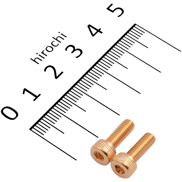 811700-012 ポッシュ POSH ステンレスキャップボルト 24Kメッキ M4X12 2本入り